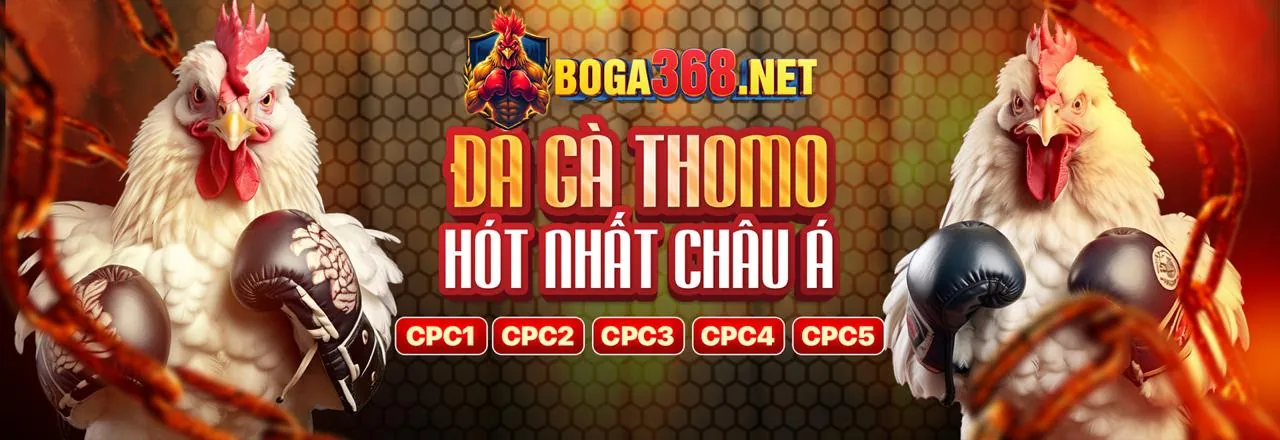 Hình ảnh tổng hợp các trò chơi và khuyến mãi hấp dẫn
